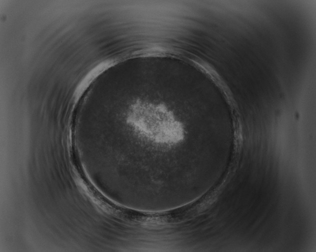 X0000051891418200507020044