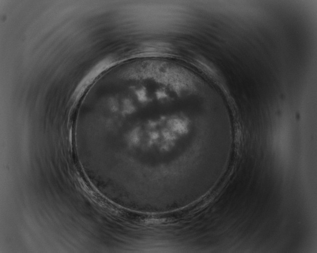 X0000051891419200507020044