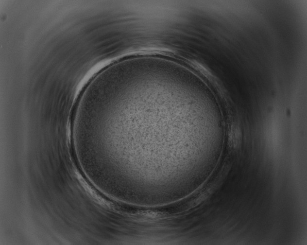 X0000051891420200507020044