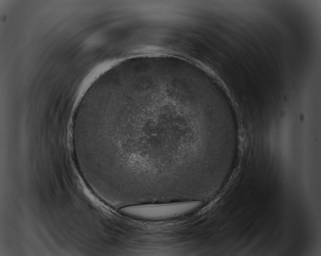 X0000051891421200507020044