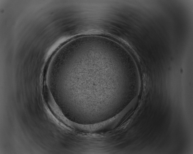 X0000051891422200507020044