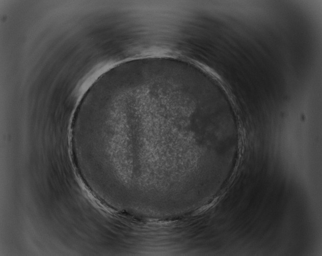 X0000051891423200507020044