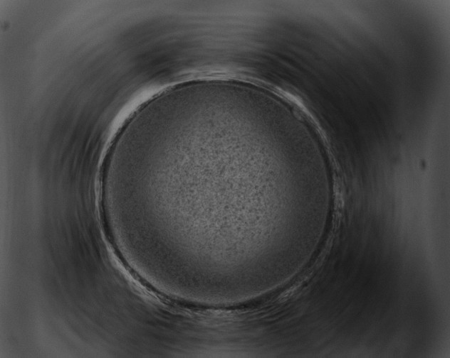 X0000051891424200507020044