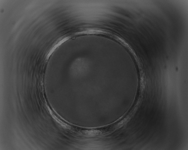 X0000051891425200507020044