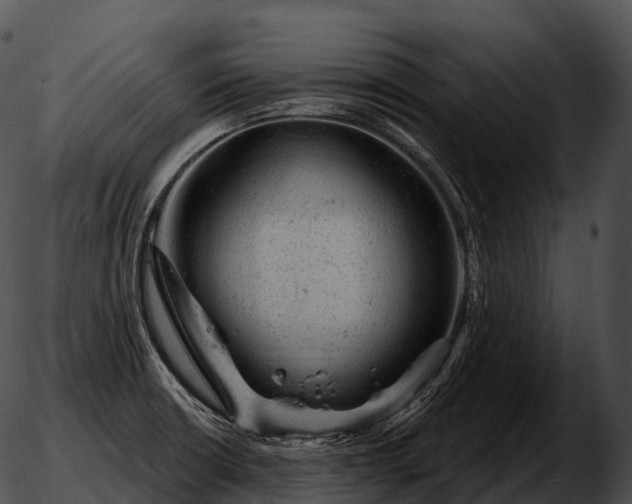 X0000051891426200507020044