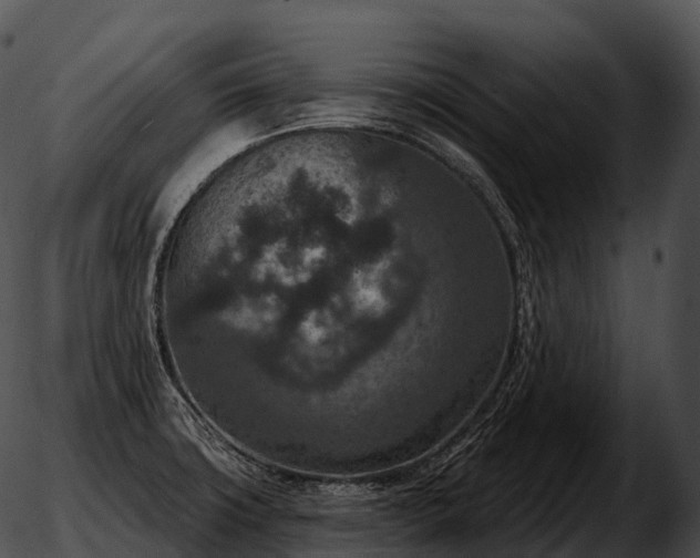 X0000051891427200507020044