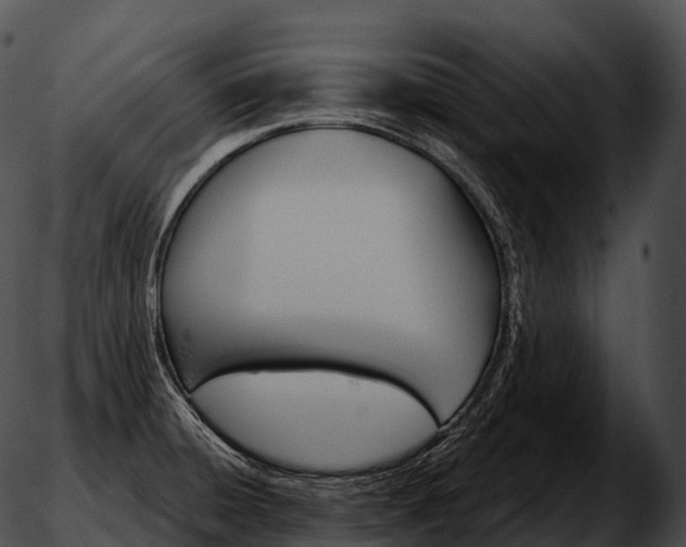 X0000051891428200507020044