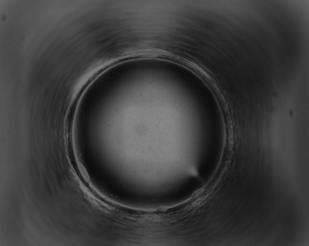 X0000051891430200507020045