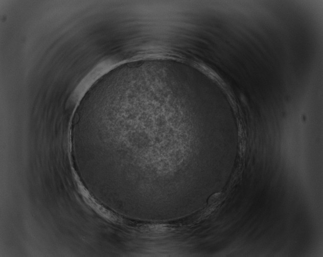 X0000051891431200507020045