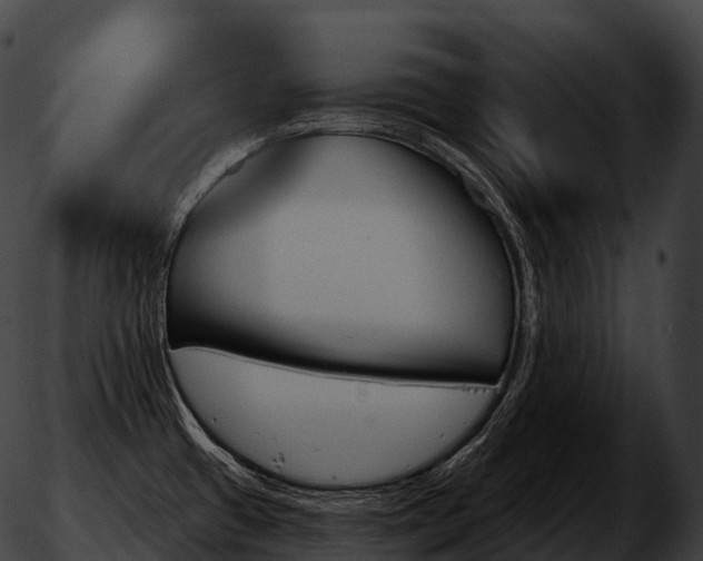 X0000051891433200507020045