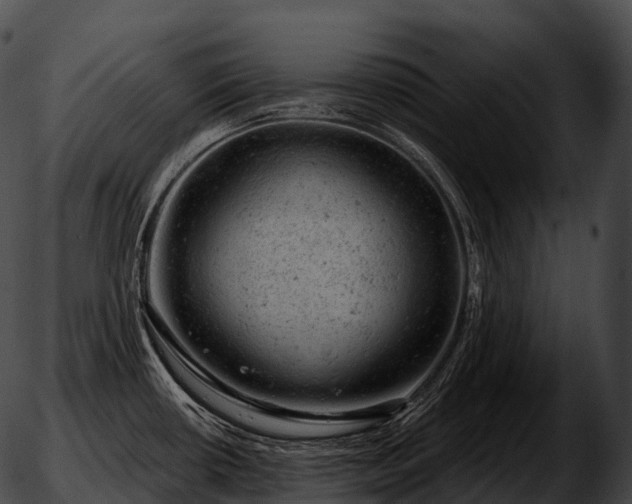 X0000051891434200507020045