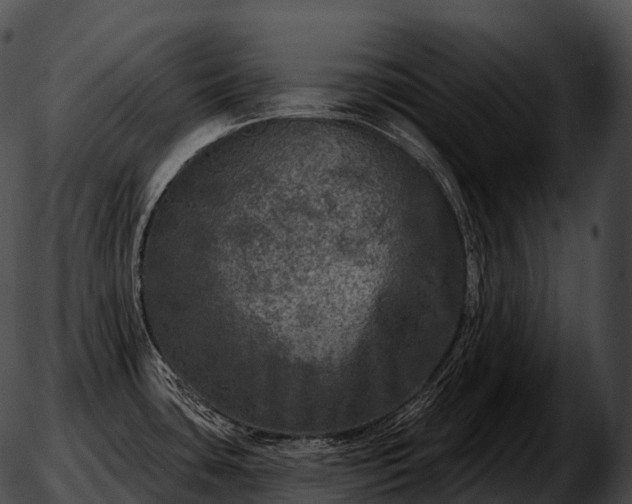 X0000051891435200507020045