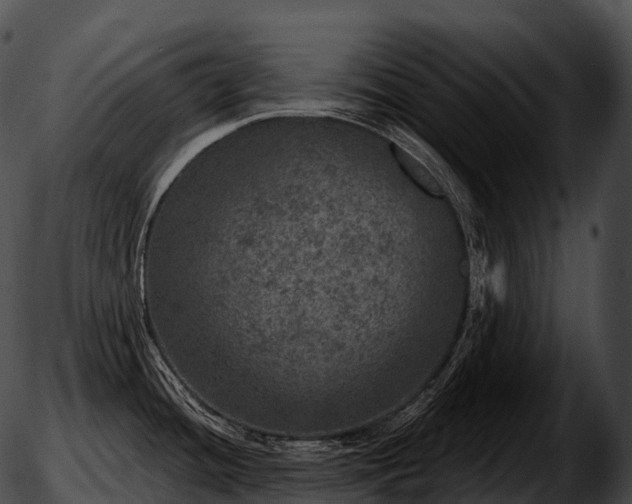 X0000051891436200507020045