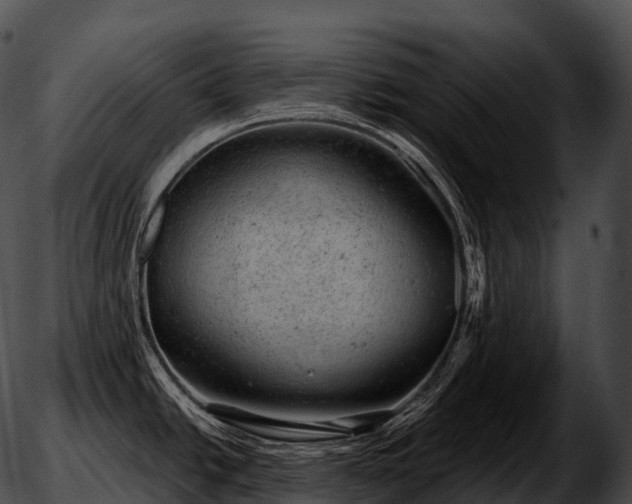 X0000051891438200507020045