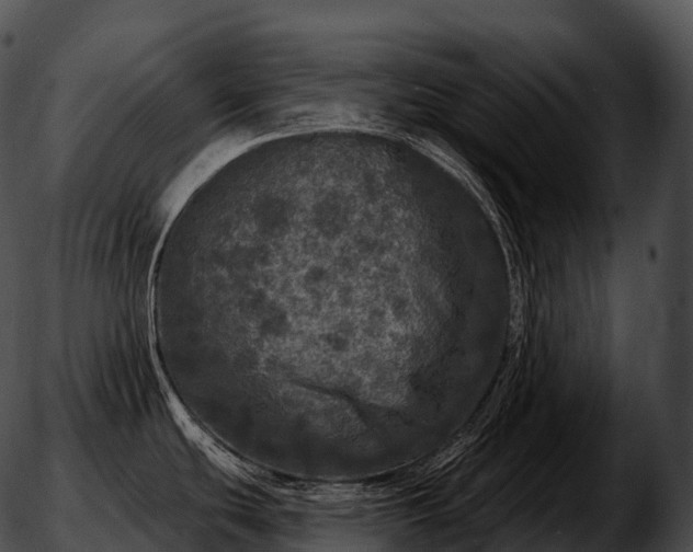 X0000051891439200507020045