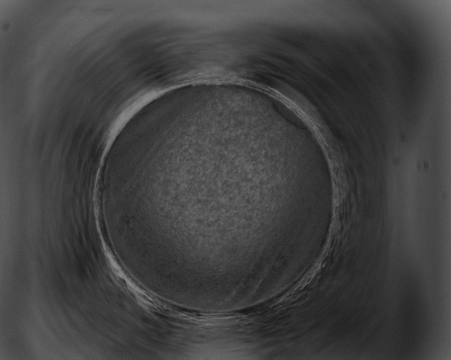 X0000051891440200507020045