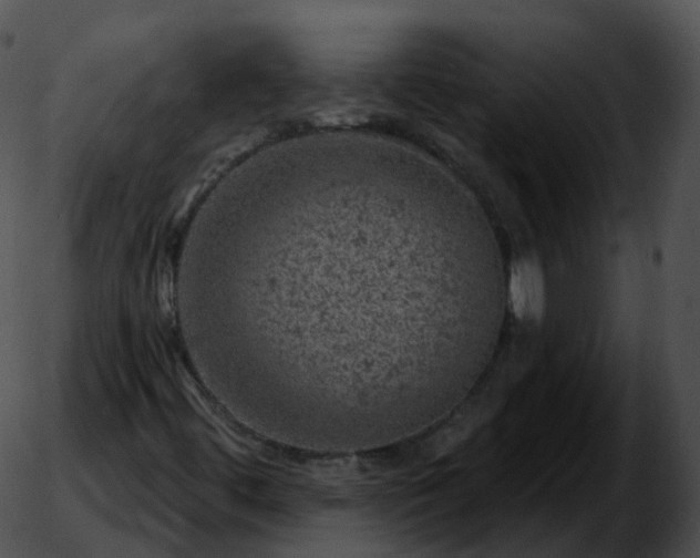 X0000051891444200507020044