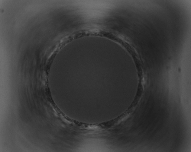 X0000051891445200507020044