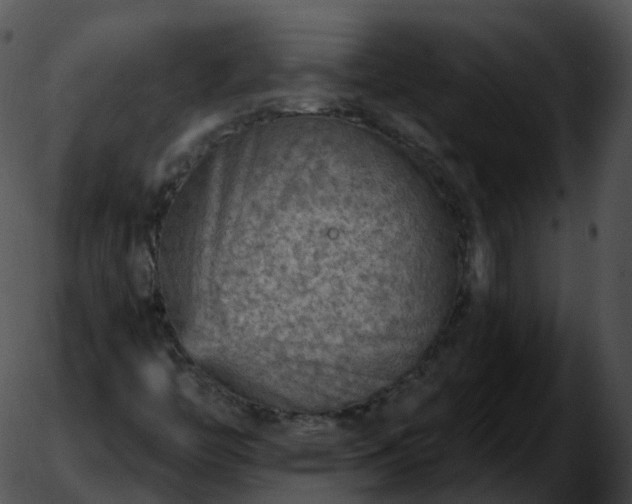 X0000051891446200507020044