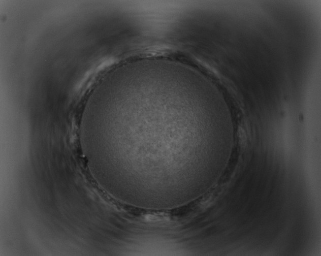 X0000051891447200507020044