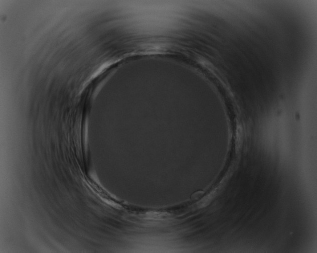 X0000051891449200507020044