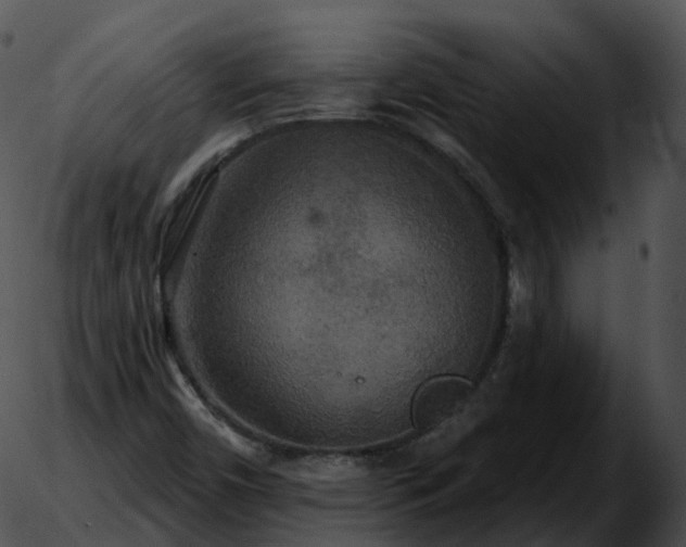 X0000051891450200507020044