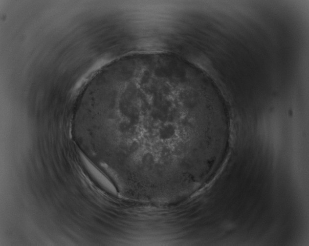 X0000051891451200507020044