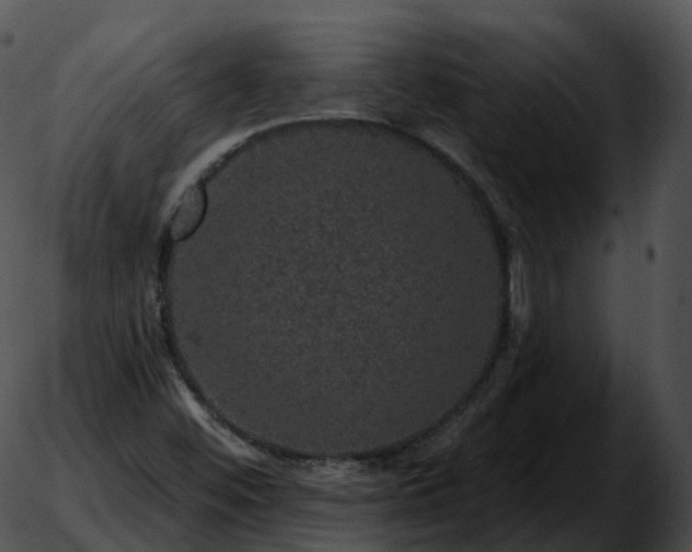 X0000051891452200507020044