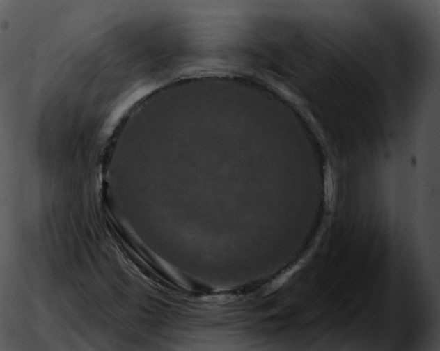 X0000051891453200507020044