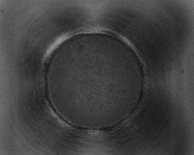 X0000051891456200507020044