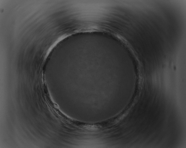 X0000051891457200507020044