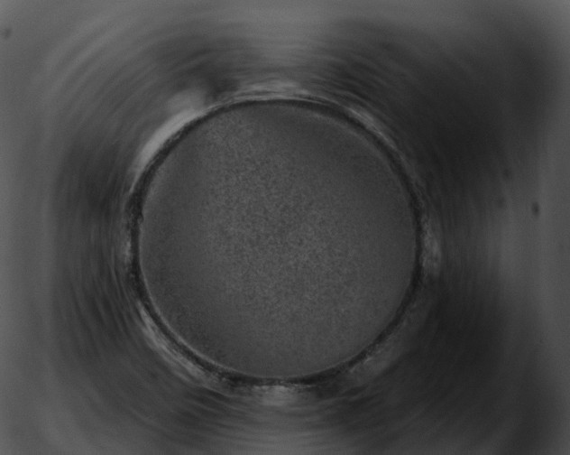 X0000051891458200507020044