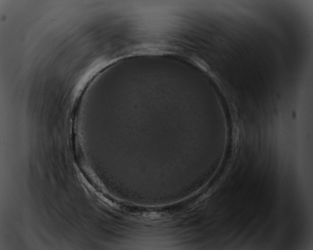 X0000051891459200507020044