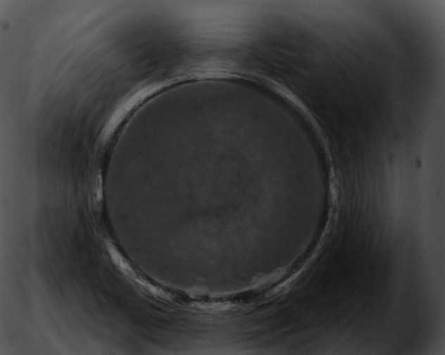 X0000051891461200507020044