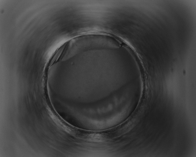 X0000051891463200507020044