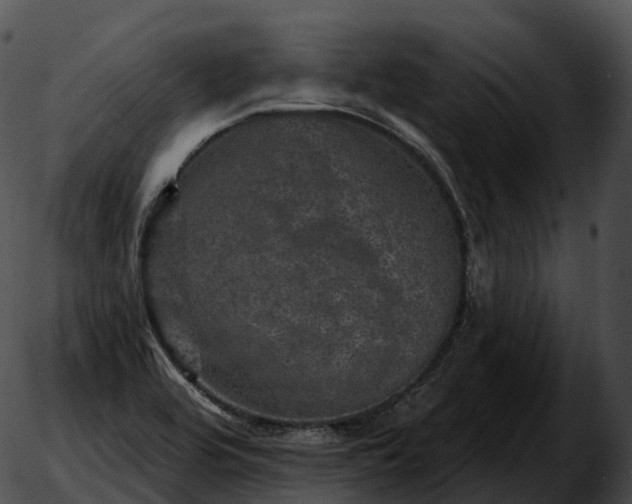 X0000051891464200507020044