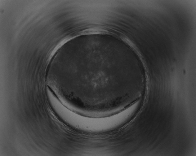 X0000051891465200507020044