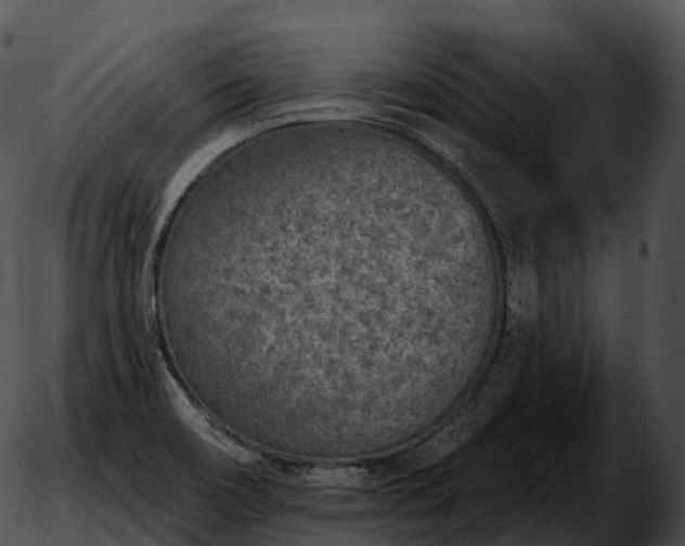 X0000051891466200507020044