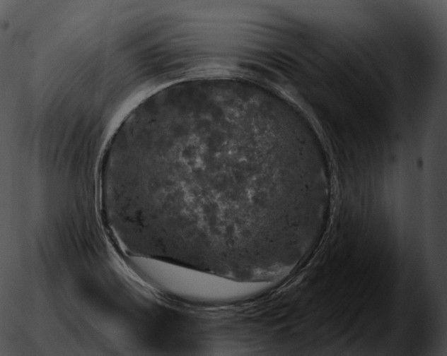 X0000051891467200507020043