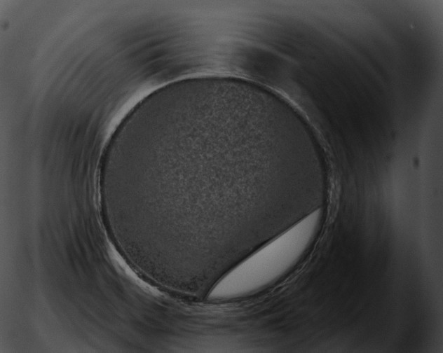 X0000051891468200507020043