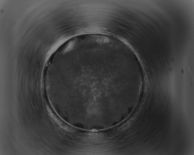 X0000051891469200507020043