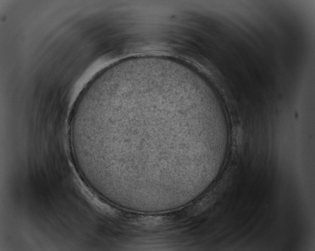 X0000051891470200507020043