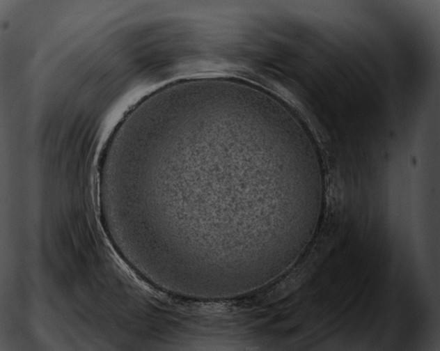 X0000051891472200507020043