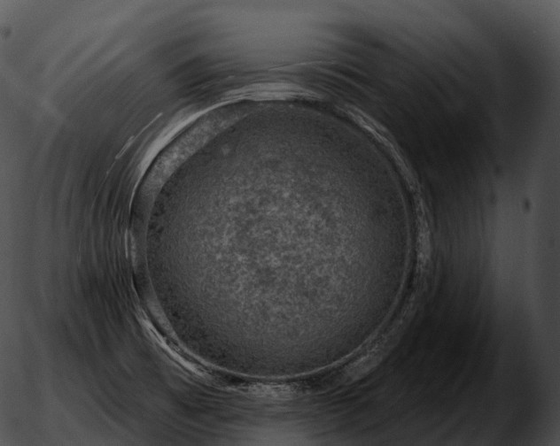 X0000051891473200507020043