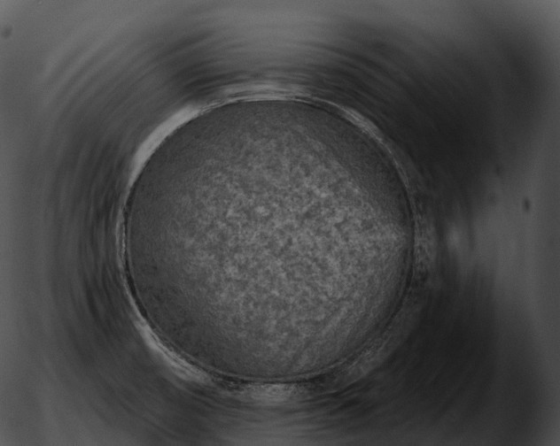 X0000051891474200507020043