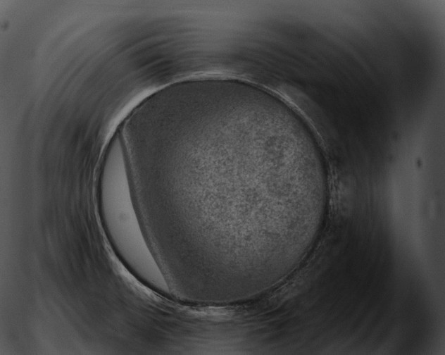 X0000051891476200507020043