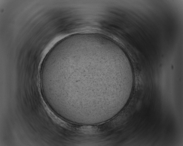 X0000051891478200507020043