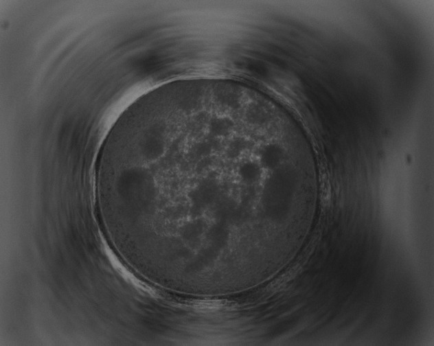 X0000051891479200507020043