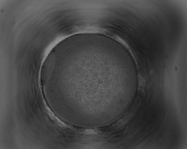 X0000051891480200507020043