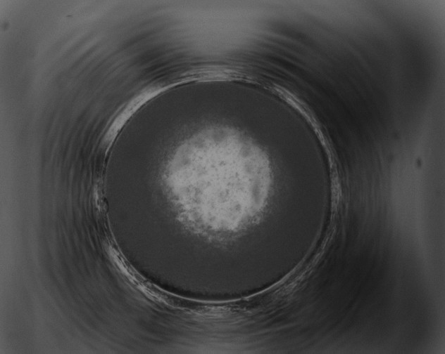 X0000051891481200507020043